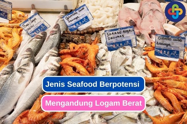Ketahui 8 Seafood yang Berpotensi Mengandung Logam Berat